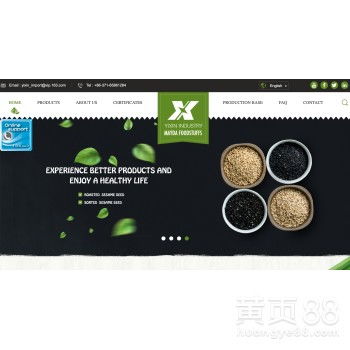 【新鄉(xiāng)谷歌社媒推廣宣傳視頻拍攝精品網(wǎng)站建設(shè)】- 